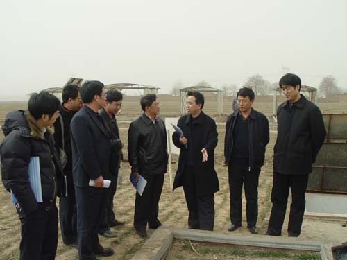 科技部农村司视察栾城站