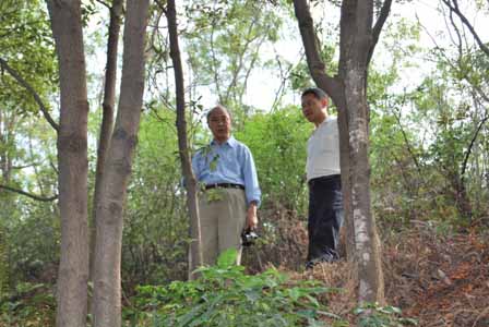 双方在野外实地考察样地情况